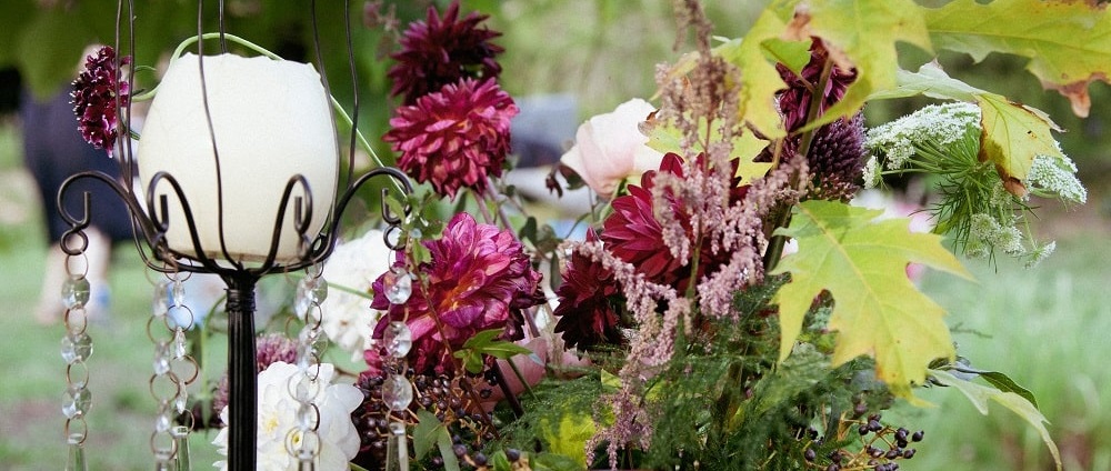 Il floral design di Fili d’Erba racchiude colore, forme e fiori particolari